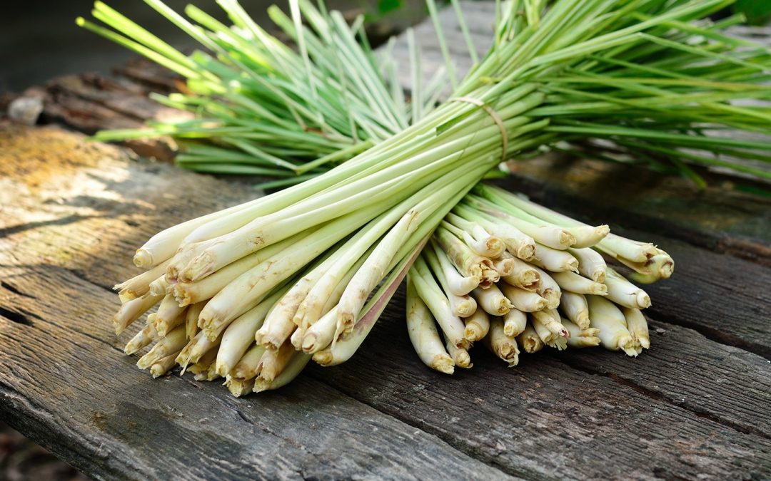 Lemongrass essential oil