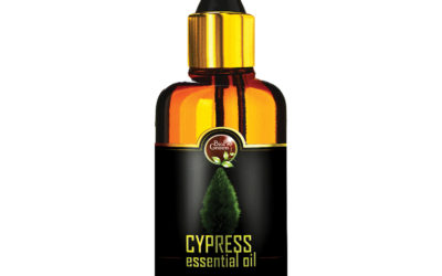 Cypress Essential Oil