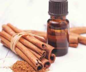 Cinnamon Essential Oil