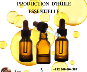 Producteurs d’huiles essentielles