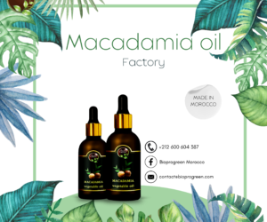 Macadamia oil factory