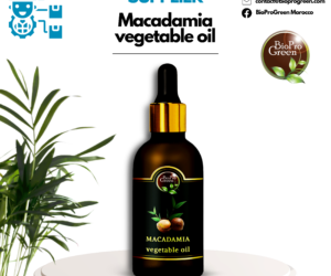 Supplier of macadamia oil