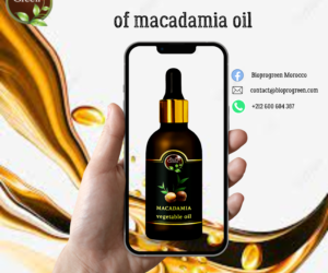 Macadamia oil in wholesale and bulk