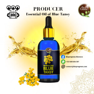 Blue Tansy Oil for productor