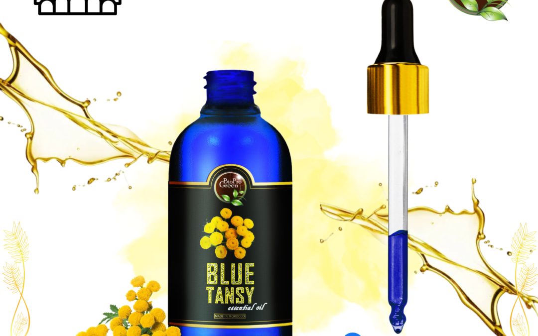 Blue Tansy Oil for Company