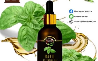 Basil essential oil for manufacturer