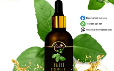 Basil essential oil for company