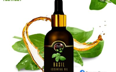 Basil essential oil for supplier