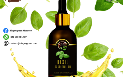 Basil essentia oil for wholesale and bulk seller