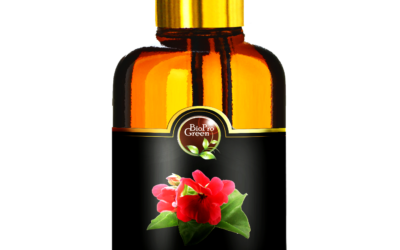 Rose geranium essential oil: its history by excellence