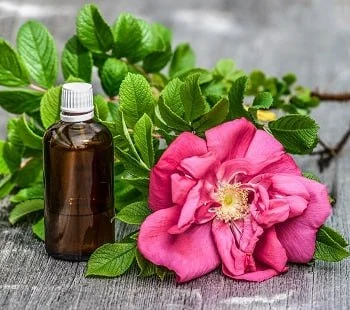 Floral waters and hydrosols