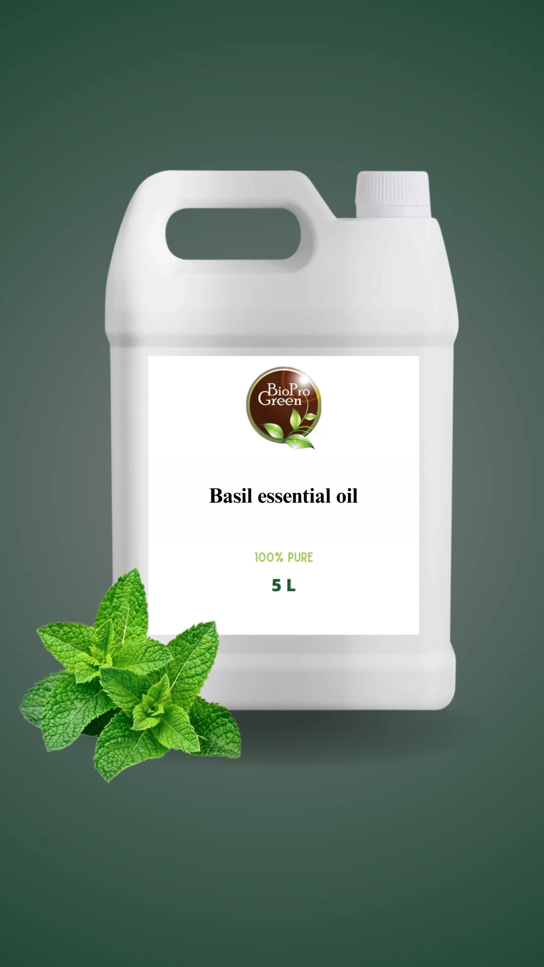 Bouteille d'huile essentielle de basilic 100% pure, pour la détente et le bien-être.