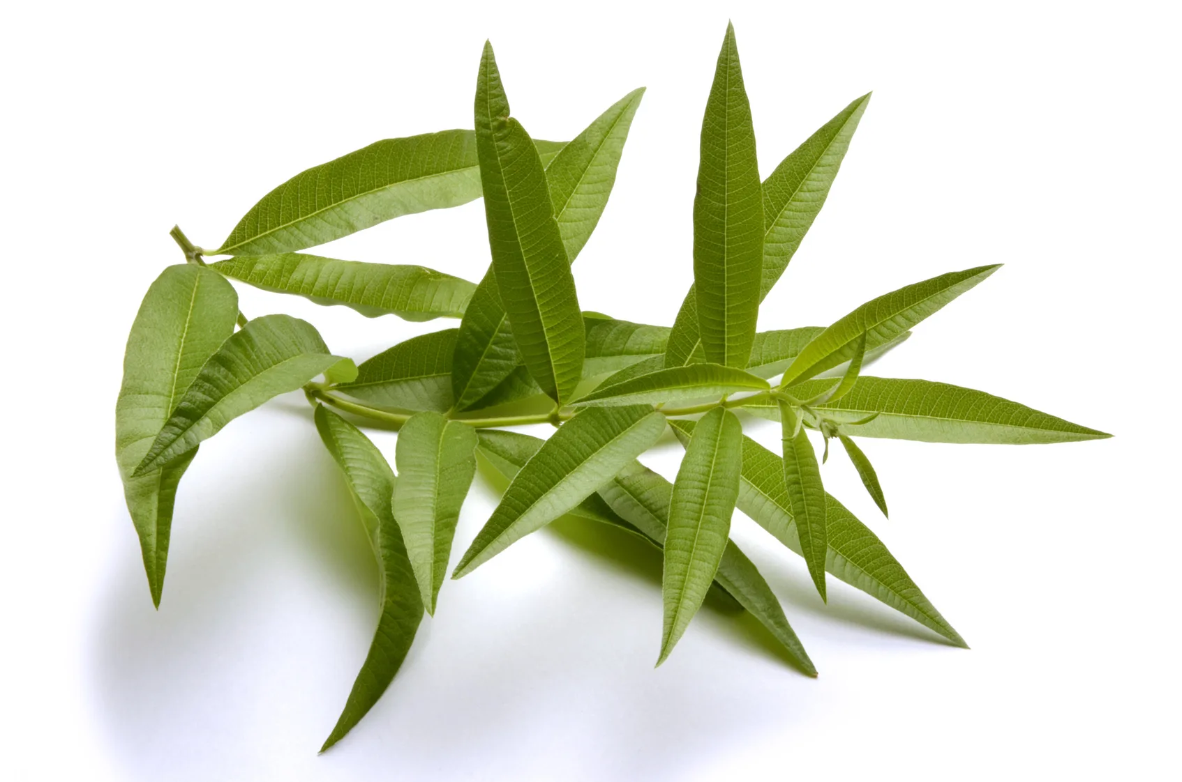 Huile Essentielle De Verveine 100% Pure - Green-storm, HEBBD, Naturelle Et Bio