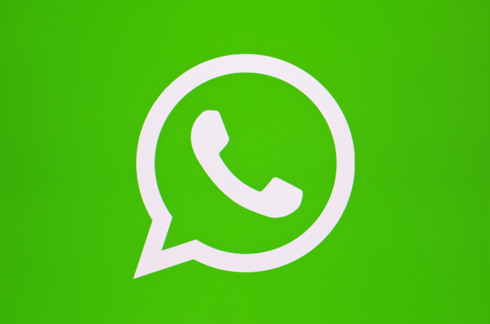 Contacter BioProGreen sur WhatsApp